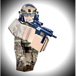 [-] Subdivision: Delta Squad [-]