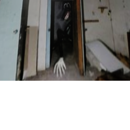SCP - cartoon dog