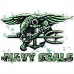 United States Assault Navy Seal Delta Force