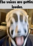 Doomy squad