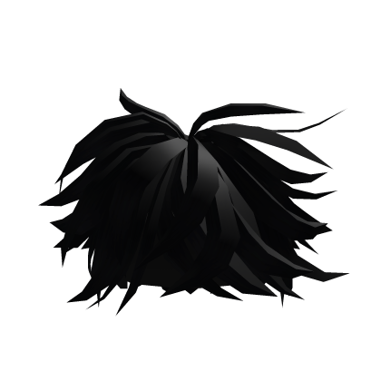 Black Bushy Boy Hair  Roblox item
