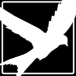 Nocturn Studio