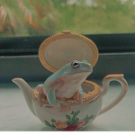 Froggy Posse <3