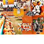 Sashs Cookies Official Group!