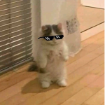 A cool spuad
