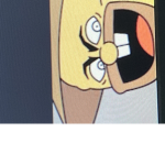 Saspongy