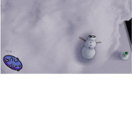Snow Ent
