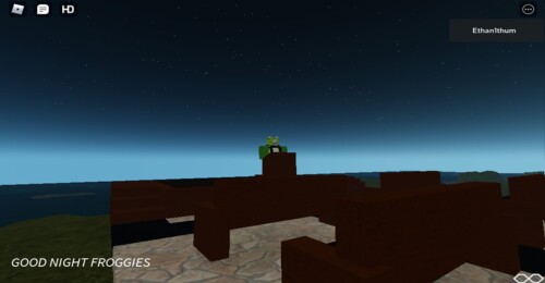 The Froggy Hangout