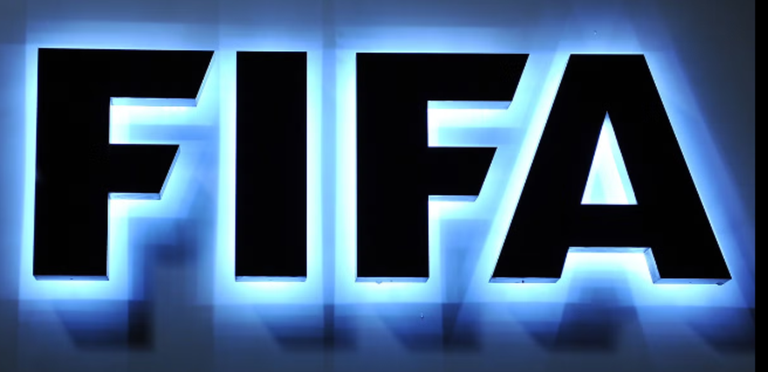 Fifa 25 (i tried) screenshot 1