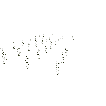 Tall Thick Grass Field