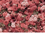 The flower krew