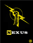 The New Nexus