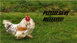 The Gaurdians Of The Chicken