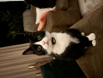 Anne_1919