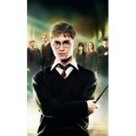 Join Group To Be In A Harry Potter Film