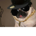 PugLifeeee