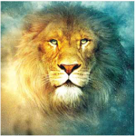 Omer With Aslan’s