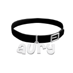 ♡ | aurys collar