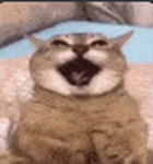 katze's children