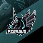 The Pegasus~