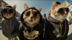 I love cats! :3