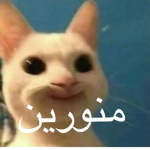 مس توته