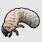 leech inc.