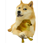 | Doggo Nation |