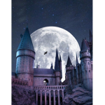 *-Harry Potter Clothing-*