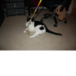 Kitty and SNOOPY! together for ever!