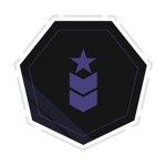 NI// MOBILIZED STRIKE FORCES