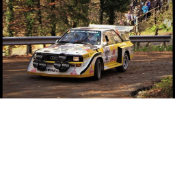 [RRL] Rally