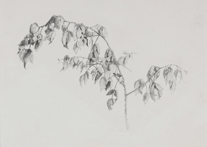 Plain Large Painting