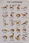 Animal welfare community