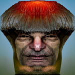 the mushroom party