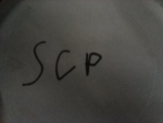 SCP Security force