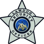 Chicago Private security