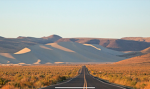 Expedition_saudi