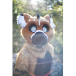 The Cutest Furrys There Ever Was