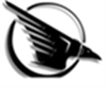 Republic Of Ravens
