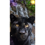 Derpy panthers
