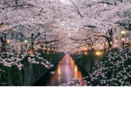japanese chill spot (updates coming soon)