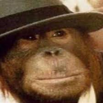 Monkey Unit