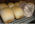 bbcsandwich