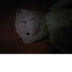 #luna bear