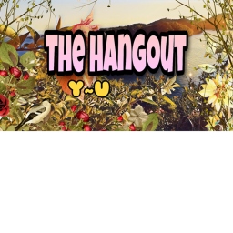 THE OTHER  HANGOUT