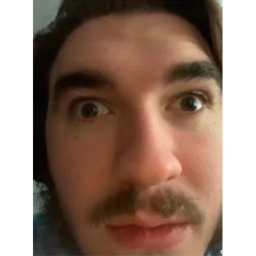 Big Guy Stares At You