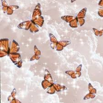 Beautiful butterfly.