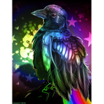 MidNight Crow