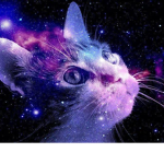 Purple Cat